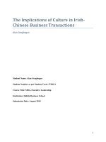 Master Thesis in Economics: The Implications of Culture in Irish - Chinese Business Transactions