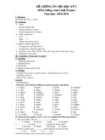 Đề cương ôn tập học kì 1 môn Tiếng Anh 6 năm 2018-2019 - Trường THCS Lăng Cô (Hệ 10 năm)
