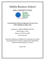 Master Thesis in Economics: An investigation on brand loyality of soft drinks in Ireland