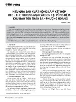 Hiệu quả sản xuất nông lâm kết hợp keo – chè thương mại cácbon tại vùng đệm khu bảo tồn Thần Sa – Phượng Hoàng