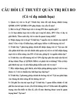 CÂU HỎI LÝ THUYẾT QUẢN TRỊ RỦI RO CÓ VÍ DỤ MINH HỌA