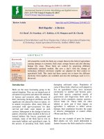 Bird repeller - A review