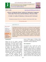 A review on molecular marker analysis for yield and its component traits under water stress and zinc deficiency tolerance in rice