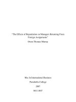 Master Thesis in Economics: The Effects of Repatriation on Managers Returning From Foreign Assignments