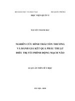 Nghiên cứu hình thái tổn thương và đánh giá kết quả phẫu thuật điều trị túi phình động mạch não
