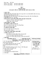 Giáo án Tin học lớp 7 - Bài thực hành 2: Làm quen với các kiểu dữ liệu trên trang tính