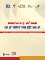 Báo cáo Thương mại gỗ dán giữa Việt Nam với Trung Quốc và Hoa Kỳ