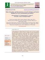 Effect of secondary and micronutrients on growth attributes and yield of elephant foot yam (Amorphophallus paeoniifolius)