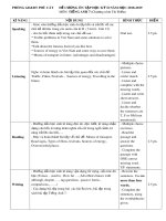 Đề cương ôn tập học kì 2 môn Tiếng Anh 7 năm 2018-2019 - Trường THCS Ngô Mây (Thí điểm)