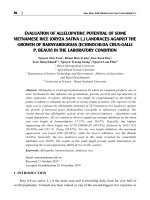 Evaluation of allelopathic potential of some Vietnamese rice (Oryza sativa L.) landraces against the growth of barnyardgrass (Echinochloa crus Galli p. beauv) in the laboratory condition
