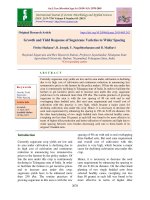 Growth and yield response of sugarcane varieties to wider spacing