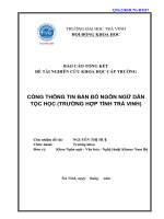 Báo cáo nghiên cứu khoa học cấp trường: Cổng thông tin bản đồ ngôn ngữ dân tộc học (trường hợp tỉnh Trà Vinh)