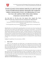 Đánh giá khả năng kháng khuẩn của hệ vật liệu nano tổ hợp mang kháng sinh đối với vi khuẩn Vibrio parahaemolyticus gây bệnh hoại tử gan tuy tụy cấp (AHPNS) trên tôm chân trắng Litopenaeus