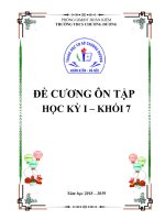Đề cương ôn tập học kì 1 môn Lịch sử 7 năm 2018-2019 - Trường THCS Chương Dương