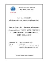 Báo cáo nghiên cứu khoa học cấp trường: Ảnh hưởng của lá khoai mì (Manihot esculenta Crantz) trong khẩu phần lên tỉ lệ tiêu hóa và sinh khí mê tan trên bò lai Sind