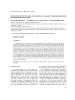 Influence of cultivation of Chlorella vulgaris on microorganisms in seafood wastewater