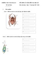 Đề cương ôn tập học kì 1 môn Sinh học 7 năm 2019-2020 - Trường THCS Thanh Quan