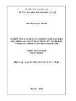 Tóm tắt Luận án tiến sĩ Vật lý kỹ thuật: Nghiên cứu và chế tạo cảm biến sinh học điện hóa độ nhạy cao sử dụng điện cực in các bon ứng dụng trong chẩn đoán bệnh sớm