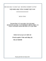Tóm tắt Luận án tiến sĩ Nông nghiệp: Ảnh hưởng của hai độc tố nấm mốc deoxynivalenol và fumonisin trong thức ăn chăn nuôi đến sinh trưởng của lợn thịt