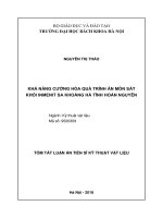 Tóm tắt Luận văn tiến sĩ Kỹ thuật vật liệu:  Khả năng cường hóa quá trình ăn mòn sắt khỏi inmenit sa khoáng Hà Tĩnh hoàn nguyên