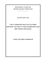 luận văn thạc sĩ lập và trình bày báo cáo tài chính hợp nhất tại công ty trách nhiệm hữu hạn một thành viên hanel 