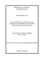 Tóm tắt luận văn thạc sĩ Quản trị kinh doanh: Phát triển cho vay tiêu dùng tại Ngân hàng Nông nghiệp và phát triển Nông thôn Quận Ngũ Hành Sơn
