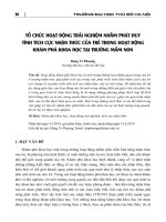 Tổ chức hoạt động trải nghiệm nhằm phát huy tính tích cực nhận thức của trẻ trong hoạt động khám phá khoa học tại trường mầm non