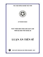 Luận án tiến sĩ Kinh tế: Phát triển bền vững sản xuất cam trên địa bàn tỉnh Nghệ An