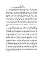 Tóm tắt Luận án tiến sĩ Kinh tế: Phát triển nông nghiệp hàng hoá ở vùng Đồng bằng sông Hồng