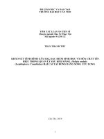 Tóm tắt Luận án tiến sĩ Sinh học: Khảo sát tình hình gây hại, đặc điểm sinh học và hóa chất tín hiệu trong quản lý sâu kéo màng, Hellula undalis (Lepidoptera: Crambidae) hại cải tại Đồng