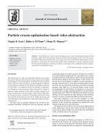 Particle swarm optimisation based video abstraction