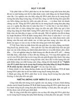Tóm tắt Luận án tiến sĩ Y học: Nghiên cứu DNA phôi thai tự do trong huyết tương thai phụ bằng kỹ thuật Realtime PCR nhằm dự báo sớm tiền sản giật