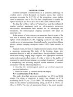 Nghiên cứu hình thái tổn thương và đánh giá kết quả phẫu thuật điều trị túi phình động mạch não tt tieng anh 