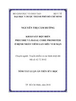 Tóm tắt Luận án tiến sĩ Y học: Khảo sát đột biến precore và basal core promoter ở bệnh nhân viêm gan siêu vi B mạn