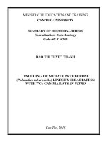Summary of doctoral thesis: Inducing of mutation tuberose (Polianthes tuberosa L.) lines by irradiating with 60Co gamma rays in vitro