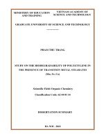 Dissertation Summary: Study on the biodegradability of Polyetylene in the presence of transition metal stearates (Mn, Fe, Co)