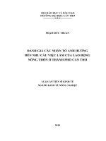 Luận án tiến sĩ Kinh tế: Đánh giá các nhân tố ảnh hưởng đến nhu cầu việc làm của lao động nông thôn ở thành phố Cần Thơ