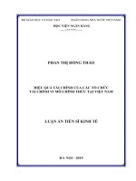 Luận án tiến sĩ Kinh tế: Hiệu quả tài chính của các tổ chức tổ chức tài chính vi mô chính thức tại Việt Nam