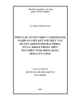Luận án tiến sĩ Nông nghiệp: Nghiên cứu sử dụng hợp lý đất phèn đồng bằng sông Cửu Long thích ứng với biến đổi khí hậu
