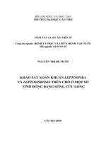 Tóm tắt Luận án tiến sĩ Thú y: Khảo sát xoắn khuẩn Leptospira và Leptospirosis trên chó ở một số tỉnh Đồng Bằng Sông Cửu Long