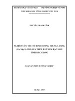 Luận án tiến sĩ Nông nghiệp: Nghiên cứu yếu tố dinh dưỡng trung lượng (Ca, Mg, S) cho lúa trên đất xám bạc màu tỉnh Bắc Giang