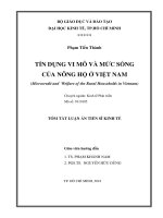 Tóm tắt Luận án tiến sĩ Kinh tế: Tín dụng vi mô và mức sống của nông hộ ở Việt Nam