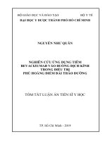 Tóm tắt Luận án tiến sĩ Y học: Nghiên cứu ứng dụng tiêm bevacizumab vào buồng dịch kính trong điều trị phù hoàng điểm đái tháo đường