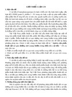 Tóm tắt Luận án tiến sĩ Y học: Nghiên cứu phẫu thuật nội soi qua đường mũi xoang bướm trong điều trị u sọ hầu