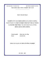 Tóm tắt Luận án tiến sĩ Nông nghiệp: Nghiên cứu xác định giống lúa chất lượng, ngắn ngày và một số biện pháp kỹ thuật thâm canh phù hợp phục vụ sản xuất lúa vùng đồng bằng sông Hồng