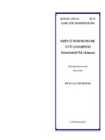 Tóm tắt Luận án tiến sĩ Y học: Nghiên cứu thành phần hóa học cây Nữ lang Hardwicke (Valeriana hardwickii Wall.- Valerianaceae)