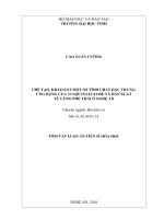 Tóm tắt Luận án tiến sĩ Hóa học: Chế tạo, khảo sát một số tính chất đặc trưng, ứng dụng của vi sợi cellulose và dẫn xuất từ lùng phế thải ở Nghệ An