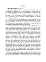 Tóm tắt Luận án tiến sĩ Y học: Nghiên cứu tổ hợp chất chỉ điểm sinh học vWF, VCAM-1, MCP-1, D-Dimer trong chẩn đoán và tiên lượng nhồi máu não cấp