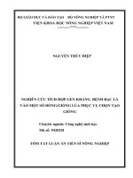 Tóm tắt Luận văn tiến sĩ Nông nghiệp: Nghiên cứu tích hợp gen kháng bệnh bạc lá vào một số dòng/giống lúa phục vụ chọn tạo giống