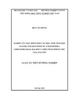 Luận án tiến sĩ Nông nghiệp: Nghiên cứu đặc điểm sinh vật học, sinh thái học loài bọ ánh kim Oides sp. (Coleoptera: Chrysomelidae) hại hồi và biện pháp phòng trừ tại Lạng Sơn